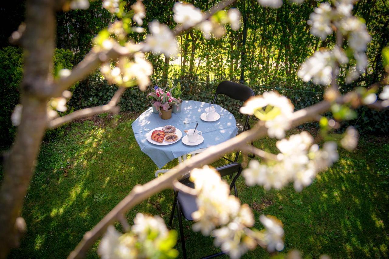 My Sweet Garden - By Myhomeincomo Cassina Rizzardi Экстерьер фото